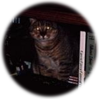 Tigger in the record cabinet